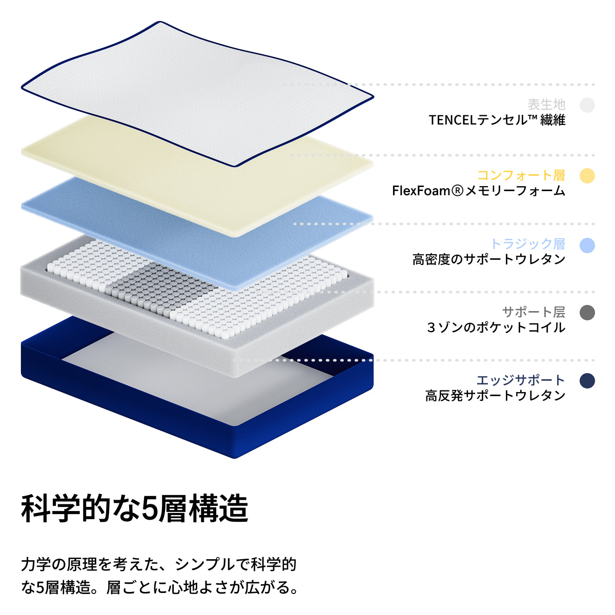Z1 コイシ マットレス｜しっかり支える高反発モデル – Bluebox